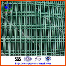 PVC Coated Welded Wire Mesh (DHWP02)